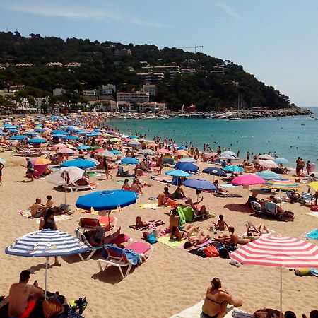 Capdevila Llafranc Luaran gambar